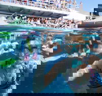 Great Barrier Reef Day Cruise from Cairns Including Snorkeling and Marine Biologist Presentation - Goulburn Accommodation