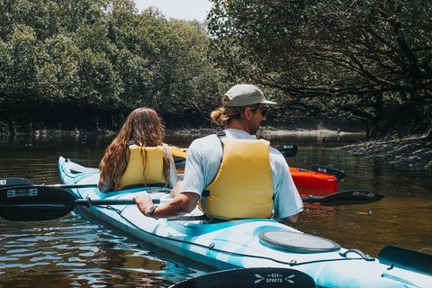 Kayak Tour In Adelaide Dolphin Sanctuary - Goulburn Accommodation 2