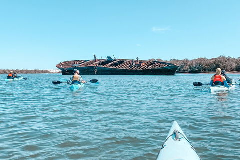 Kayak Tour In Adelaide Dolphin Sanctuary - Goulburn Accommodation 3