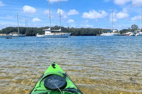 Kayak Tour In Adelaide Dolphin Sanctuary - Goulburn Accommodation 4