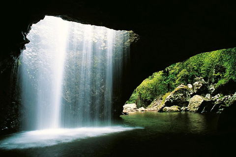 Natural Bridge & Springbrook Waterfalls Tour - Goulburn Accommodation 0