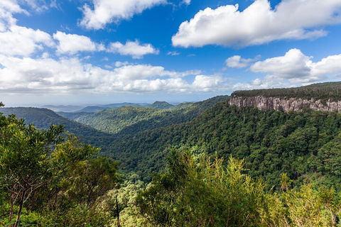 Natural Bridge & Springbrook Waterfalls Tour - Goulburn Accommodation 1