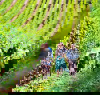 Tasmanian Wine Tour - Goulburn Accommodation