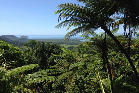 Daintree And Cape Tribulation Full Day Guided Tour - Goulburn Accommodation 2
