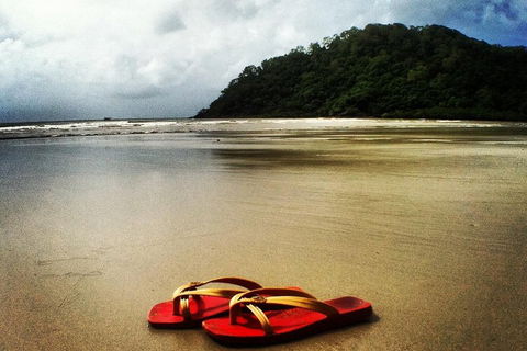 Daintree And Cape Tribulation Full Day Guided Tour - Goulburn Accommodation 4