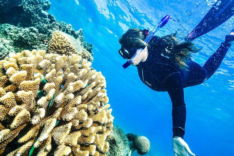 Green Island Day Trip From Cairns - Goulburn Accommodation 1