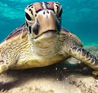 Sail Snorkel SUP  Kayak Charter Whitsundays - Goulburn Accommodation