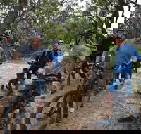 Fully guided E-Mountain Bike Tour on the beautiful Mornington Peninsula. - Goulburn Accommodation