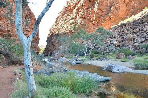 Alice Springs, Uluru Ayers Rock & Kings Canyon 8 Days Touring Package - Goulburn Accommodation 2