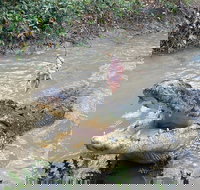 Top End Waterfalls and Wetlands - Goulburn Accommodation