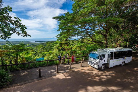 Daintree And Cape Tribulation Tour From Cairns - Goulburn Accommodation 3