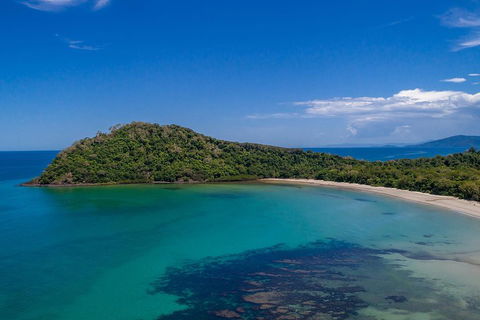 Daintree And Cape Tribulation Tour From Cairns - Goulburn Accommodation 4