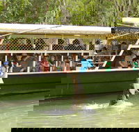 Hartley's Crocodile Adventure Half-Day Tour - Goulburn Accommodation