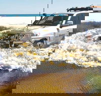 Full-Day Moreton Island 4x4 Sightseeing Tour - Goulburn Accommodation