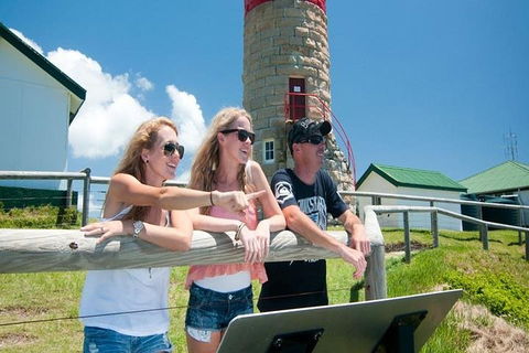 Full-Day Moreton Island 4x4 Sightseeing Tour - Goulburn Accommodation 3