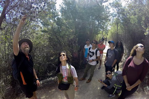 Active Day Tour One-Way From Launceston To Hobart Via Wineglass Bay - Goulburn Accommodation 0