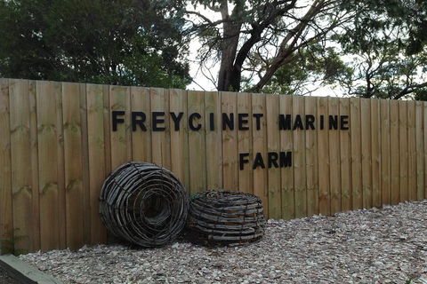 Active Day Tour One-Way From Launceston To Hobart Via Wineglass Bay - Goulburn Accommodation 3