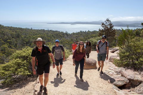 3-Day Tasmania Combo: Launceston To Hobart Active Tour Including Cradle Mountain, Freycinet National Park And Port Arthur - Goulburn Accommodation 5