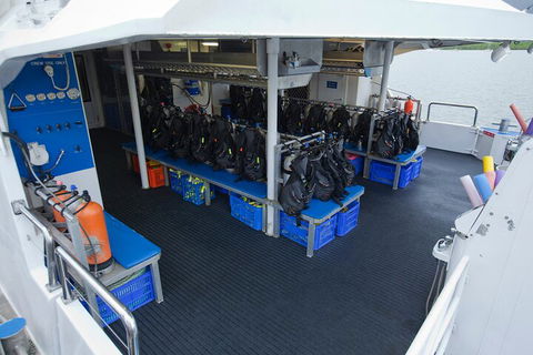 Silverswift Outer Great Barrier Reef Dive And Snorkel Cruise From Cairns - Goulburn Accommodation 0