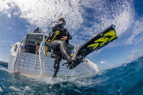 Silverswift Outer Great Barrier Reef Dive And Snorkel Cruise From Cairns - Goulburn Accommodation 1