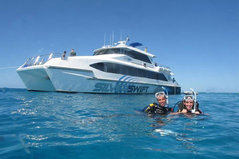 Silverswift Outer Great Barrier Reef Dive And Snorkel Cruise From Cairns - Goulburn Accommodation 4