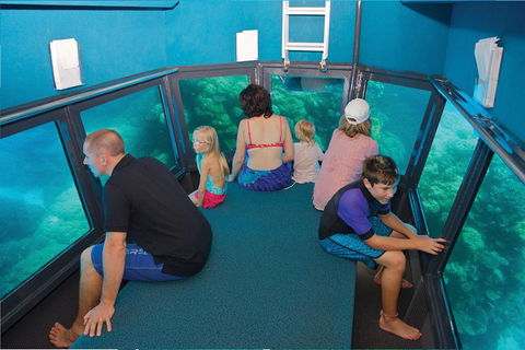 Great Barrier Reef Adventure From Cairns - Goulburn Accommodation 1