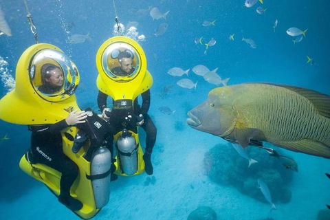 Great Barrier Reef Adventure From Cairns - Goulburn Accommodation 2