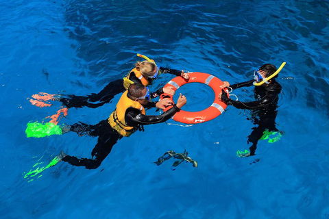 Great Barrier Reef Adventure From Cairns - Goulburn Accommodation 3