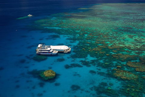 Great Barrier Reef Adventure From Cairns - Goulburn Accommodation 4