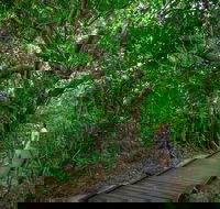 Green Island Eco Adventure from Cairns - Goulburn Accommodation