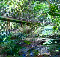 Double Pack-Ancient Rainforest and Waterfalls - Goulburn Accommodation
