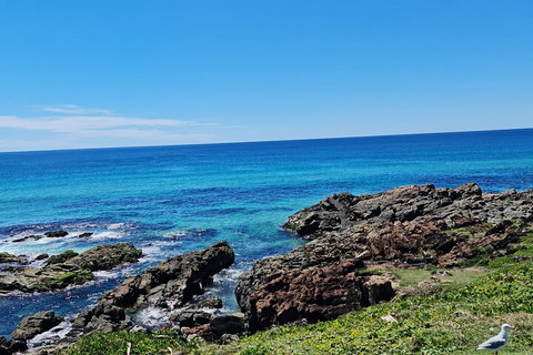 Private Custom Byron Bay Day Out - Goulburn Accommodation 4