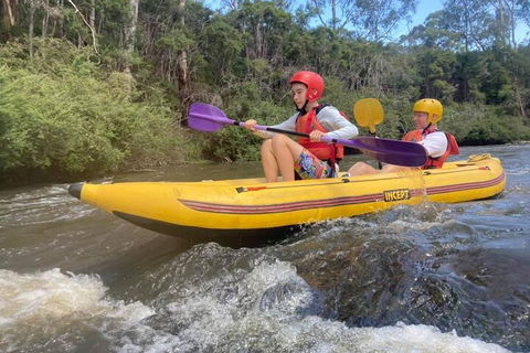 Yarra River Half-Day Rafting Experience - Goulburn Accommodation 1
