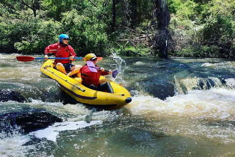Yarra River Half-Day Rafting Experience - Goulburn Accommodation 4