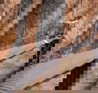 Chillagoe Caves and Outback Day Trip from Cairns - Goulburn Accommodation