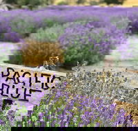 Kangaroo Island Food and Wine Trail Tour - Goulburn Accommodation