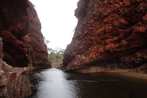 West MacDonnell Ranges Half - Day Tour - Goulburn Accommodation 4
