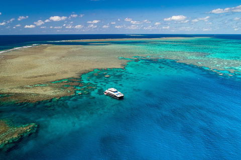 Calypso Outer Great Barrier Reef Cruise From Port Douglas - Goulburn Accommodation 1