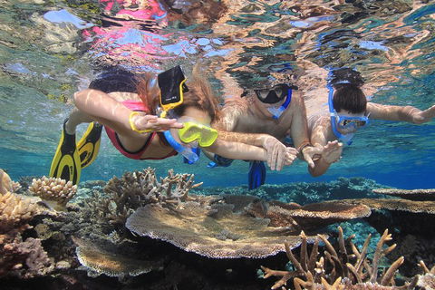 Calypso Outer Great Barrier Reef Cruise From Port Douglas - Goulburn Accommodation 3