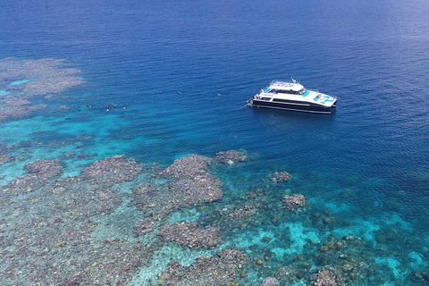 Calypso Outer Great Barrier Reef Cruise From Port Douglas - Goulburn Accommodation 4