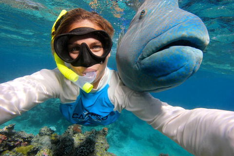 Calypso Outer Great Barrier Reef Cruise From Port Douglas - Goulburn Accommodation 5