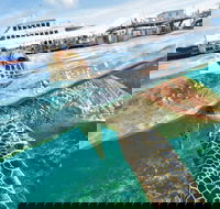 Scenic Helicopter Flight to Moore Reef and Return Snorkeling Cruise from Cairns - Goulburn Accommodation