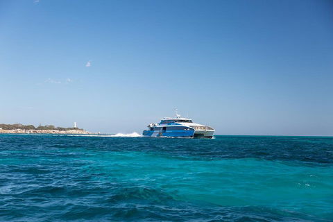 Fremantle To Rottnest Island Roundtrip Ferry Ticket - Goulburn Accommodation 5