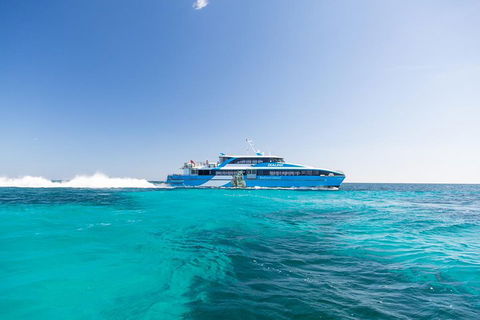 Rottnest Island All-Inclusive Grand Island Tour From Fremantle - Goulburn Accommodation 0