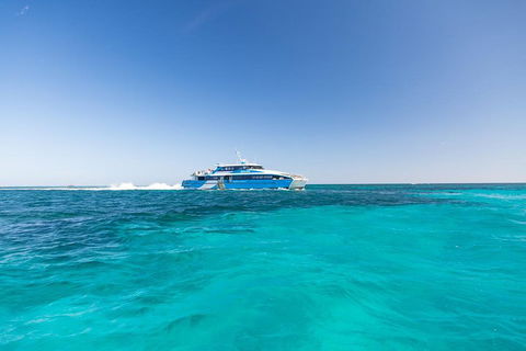 Rottnest Island Bike & Ferry Package From Fremantle - Goulburn Accommodation 0