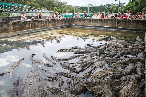 Hartley's Crocodile Adventures Day Trip From Palm Cove - Goulburn Accommodation 0