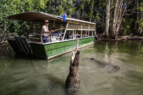 Hartley's Crocodile Adventures Day Trip From Palm Cove - Goulburn Accommodation 2