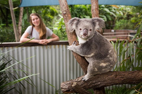 Hartley's Crocodile Adventures Day Trip From Palm Cove - Goulburn Accommodation 5