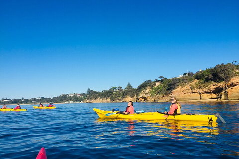 Mornington Peninsula Kayak Coastline Tour Of Dolphin Sanctuary - Goulburn Accommodation 1