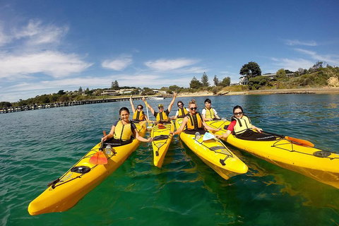 Mornington Peninsula Kayak Coastline Tour Of Dolphin Sanctuary - Goulburn Accommodation 2